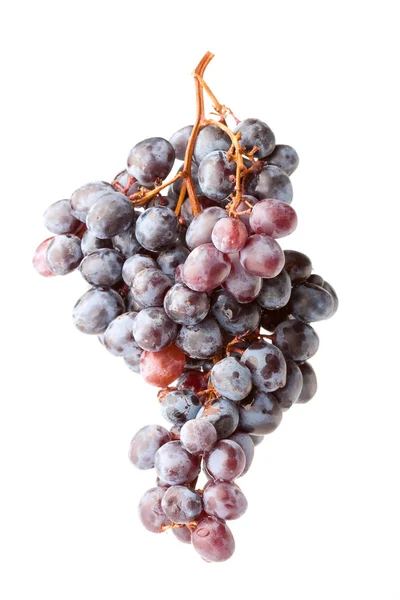 Bagas de uva isoladas frescas — Fotografia de Stock