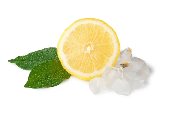 Fatia de limão com gelo e duas folhas — Fotografia de Stock