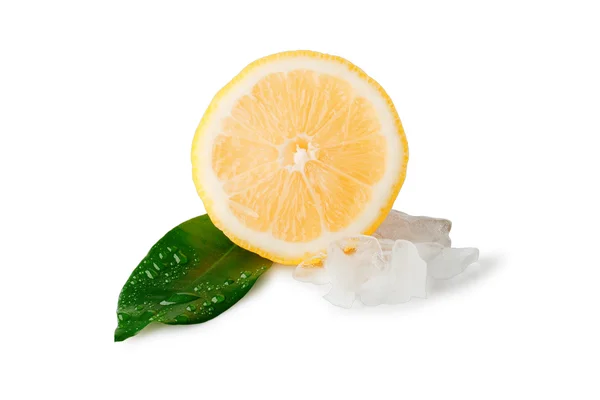 Geïsoleerde citroen — Stockfoto