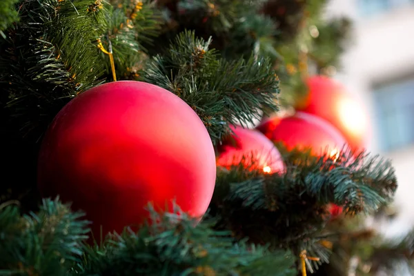Red balls on the fur tree — Stock Photo, Image