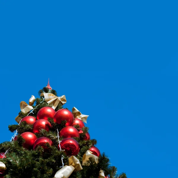 Bont boom met blauwe hemel — Stockfoto