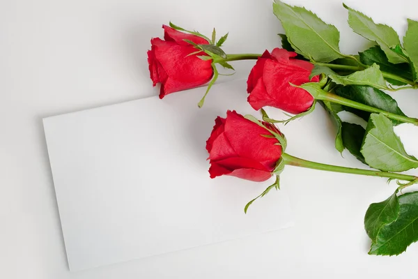 Tres rosas con tarjeta en blanco — Foto de Stock