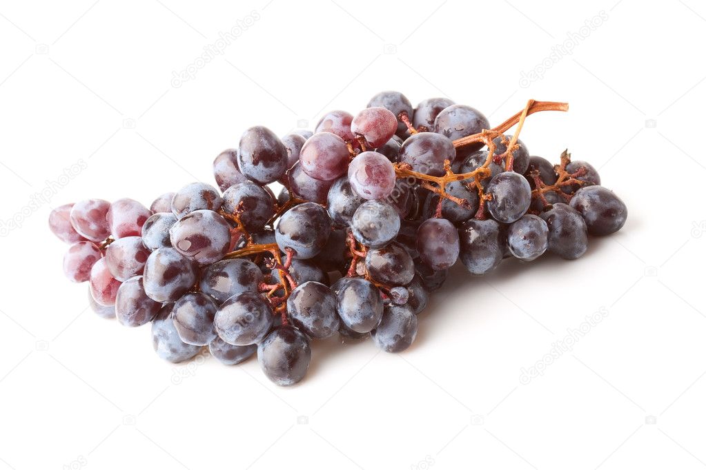 Isolated purple ripe grape