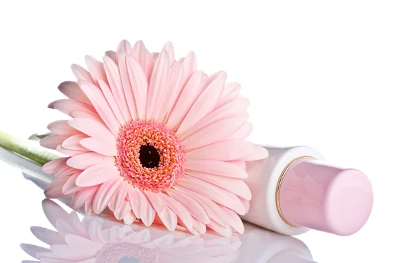 Gerbera rose avec tube cosmétique — Photo