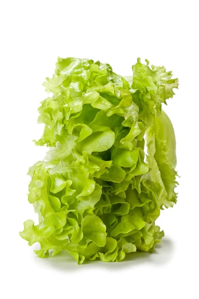 Isolated green lettuce — Stock Photo, Image