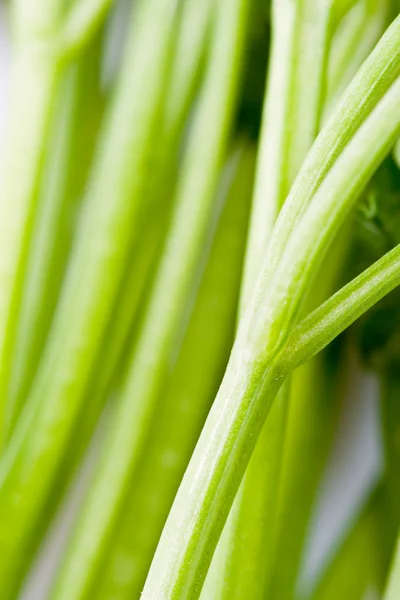 Green parsley background — Stock Photo, Image