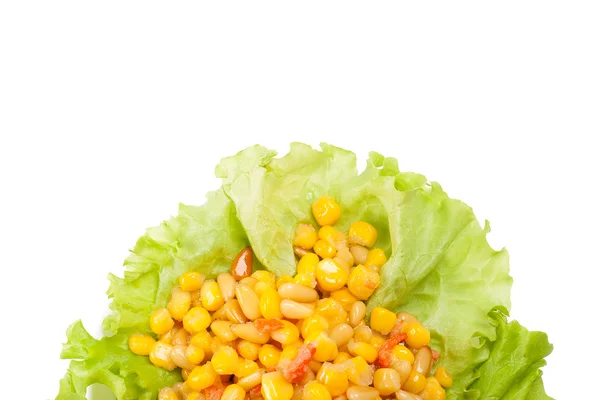 Cedar nut salad — Stock Photo, Image