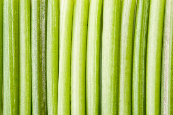 stock image Green parsley background