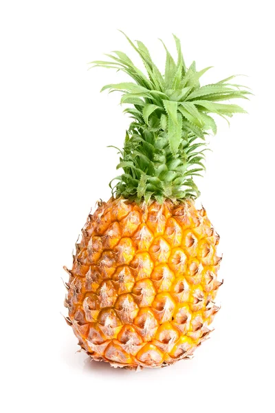 Geïsoleerde ananas vruchten — Stockfoto