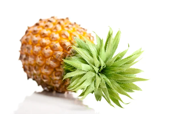 Ananas döşeme izole — Stok fotoğraf