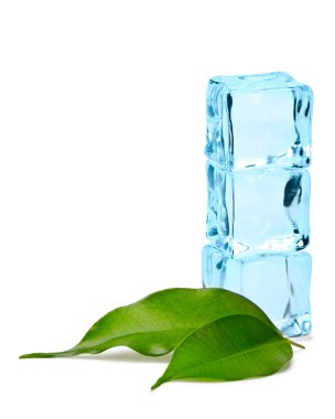 Ice cubes and leaves clipart