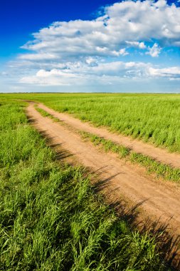 Country road in the field clipart