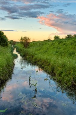 Sunset above the stream clipart