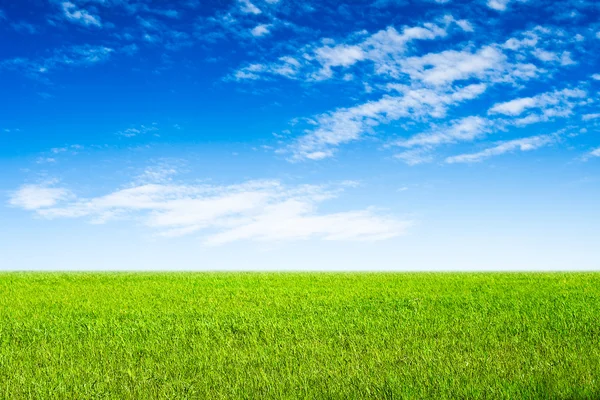 Blauer Himmel und grüne Rasenszene — Stockfoto