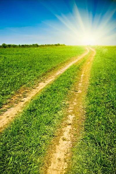 Country road to the sun — Stock Photo, Image