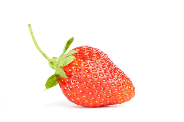 一个孤立的草莓 — 图库照片