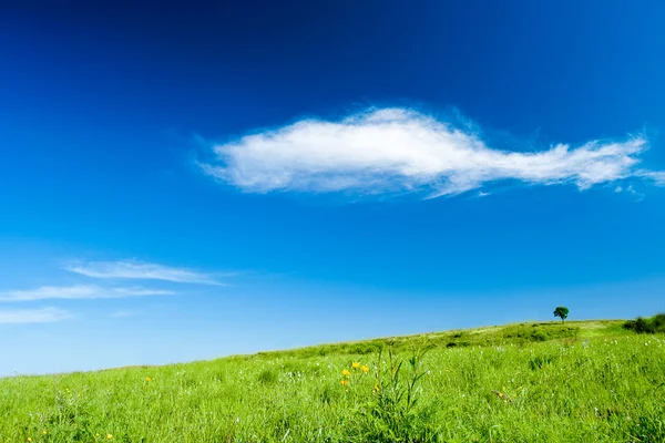 Colina verde e nuvens brancas — Fotografia de Stock