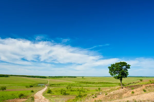 Landelijk landschap met weg — Stockfoto