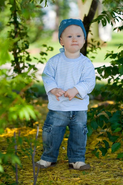 Little boy portrait — Stock Photo, Image
