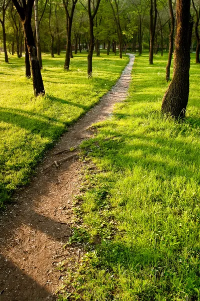 Stock image Path in the morning park