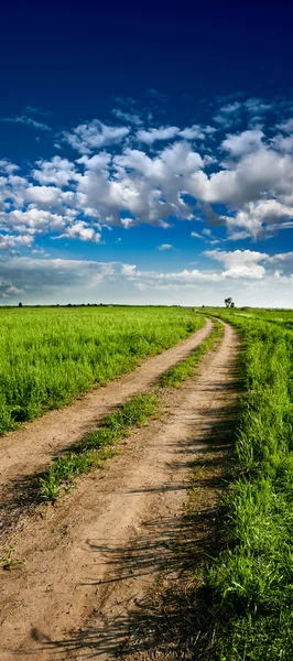 Panorama vertical da estrada rural — Fotografia de Stock