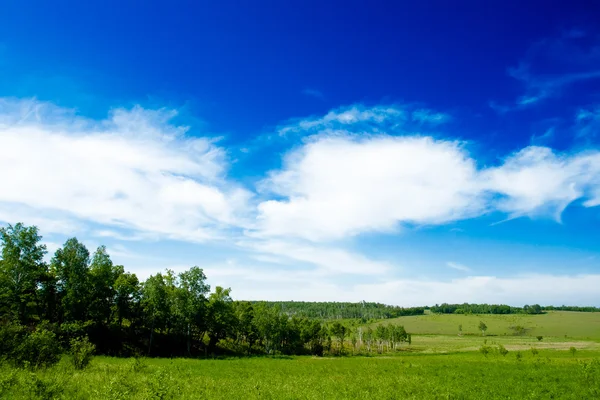 Fältet och vanligt landskap — Stockfoto