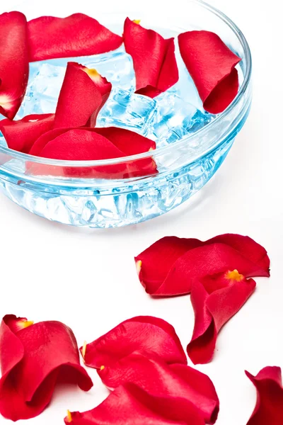 Rose petals in glass bowl — Stock Photo, Image