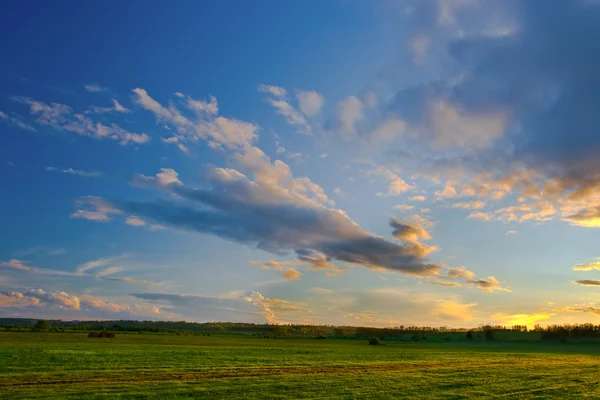 Sunset over the field — Stock Photo, Image