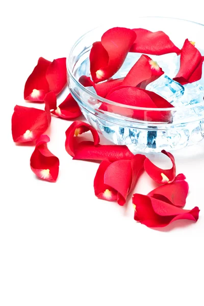 Rose petals in glass bowl — Stock Photo, Image