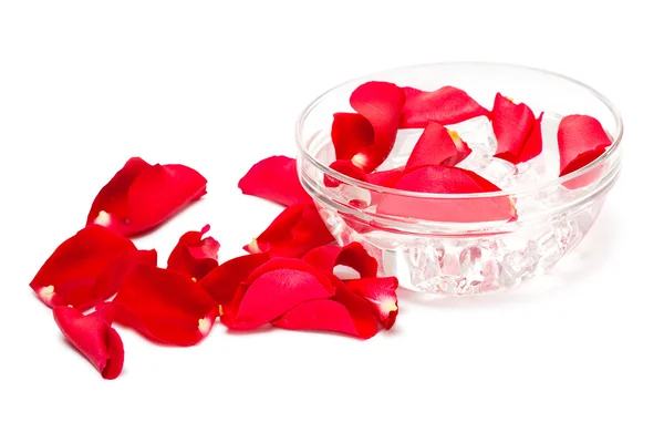 Ciotola isolata con petali di rosa — Foto Stock