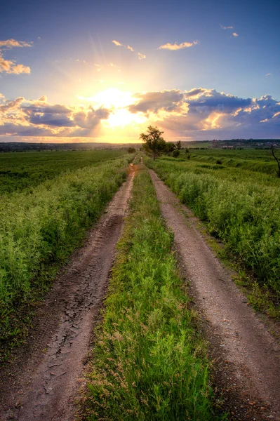 Estrada rural sob o pôr do sol — Fotografia de Stock