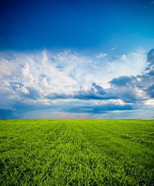 Nubes sobre el campo verde — Foto de Stock