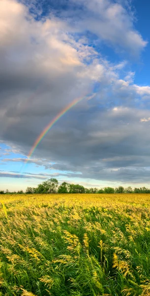 Verticale panorama met regenboog — Stockfoto