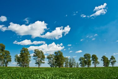 Green field trees and blue skies clipart