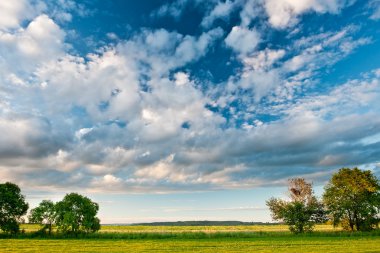 Beautiful skies above the plain clipart