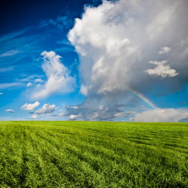 Blue skies above green field clipart