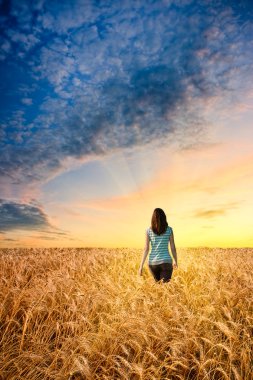 Woman in wheat field walking to sunset clipart