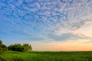 Beautiful skies above the field clipart