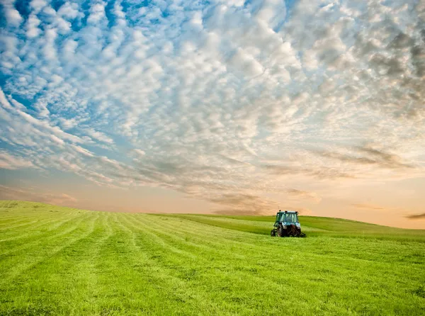 Traktor v terénu — Stock fotografie