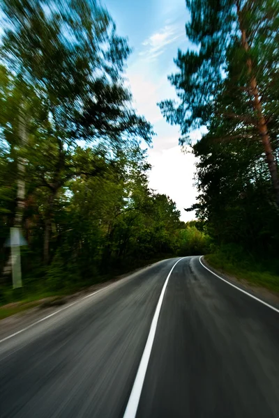 Silnice v hlubokých lesích — Stock fotografie