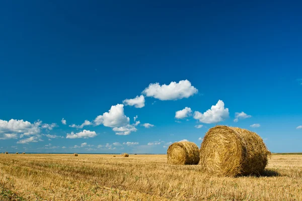 Hay stacks in autumn field — Stock Photo, Image