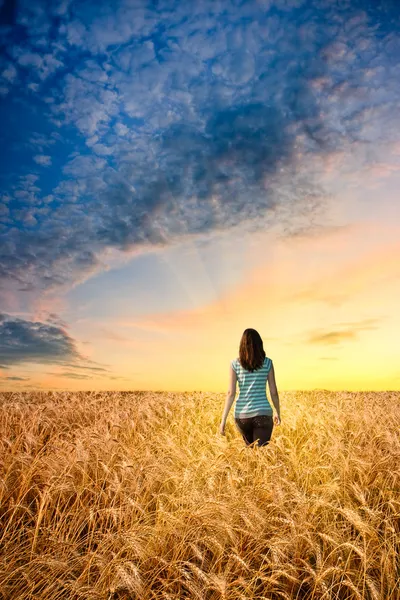 Frau im Weizenfeld zu Fuß zum Sonnenuntergang — Stockfoto