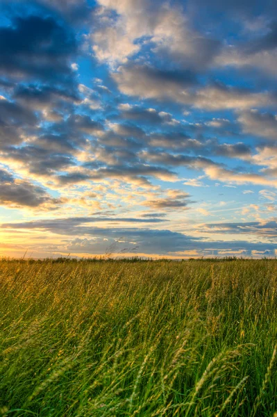 Beautiful skies above the field — Stock Photo, Image