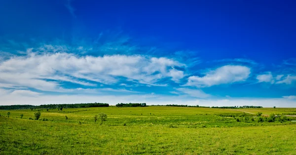 Vilda naturen panorama — Stockfoto