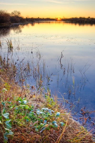 Sabah göl — Stok fotoğraf