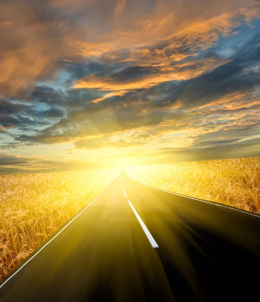 Дорога через пшеничне поле — стокове фото