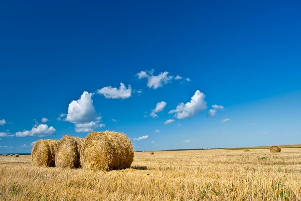 干草在蓝蓝的天空下 — 图库照片