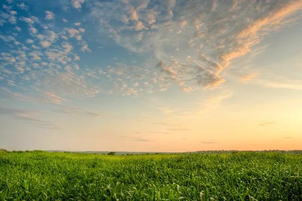 Majestic evening skies — Stock Photo, Image