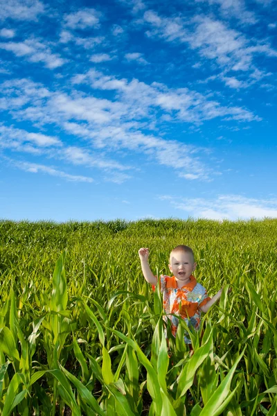 Boy on green field — Stock Photo, Image
