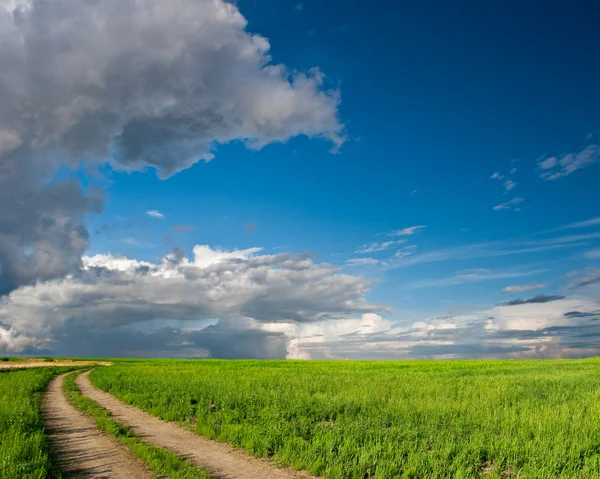 Cielos azules sobre el campo verde con carretera rural —  Fotos de Stock